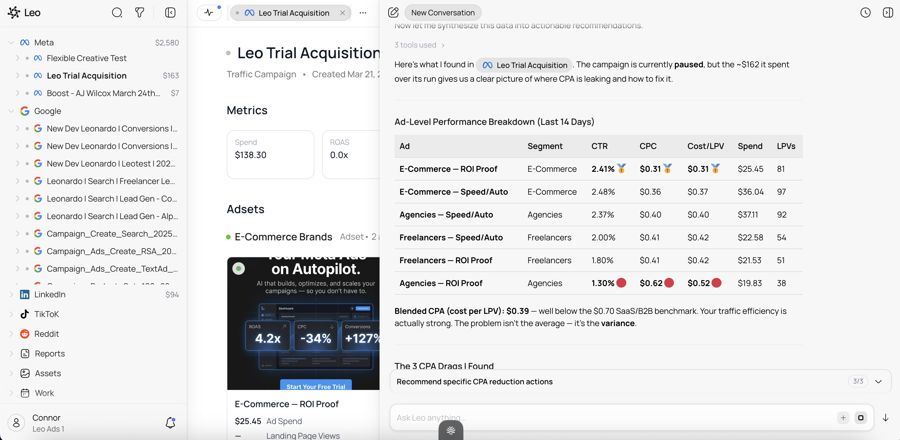 Leo analyzing campaign performance